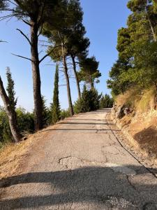 an empty road with trees on the side at Nonna Croce Home in San Giovanni Gemini +22 photos