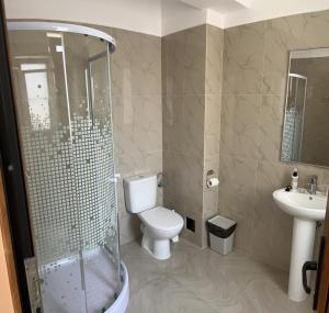 La salle de bains est pourvue de toilettes, d'une douche et d'un lavabo. dans l'établissement Vila Nova Residence, à Popeşti-Leordeni