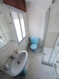 a bathroom with a sink and a shower and a toilet at La Cruz del Sur in Sanxenxo