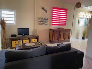 a living room with a couch and a tv at charmante maison avec piscine, idéale famille in Saint-Pierre