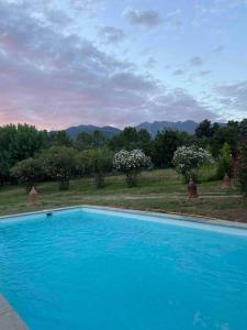 a large blue swimming pool in a yard with trees at Finca Valdegrullas in Candeleda