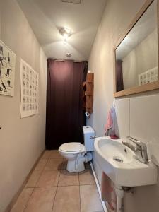 ein Badezimmer mit einem WC, einem Waschbecken und einem Spiegel in der Unterkunft Le Pierrotin - superbe 2ch au coeur de Toulouse in Toulouse