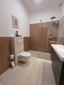 een badkamer met toilet, douche en wastafel bij Baltivia Haus I in Gdynia +11 foto's