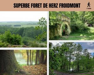 Fotografie z fotogalerie ubytování Le Cocon Forestier - Proche aéroport Beauvais, Chantilly, forêt de Hez-Froidmont, parking public gratuit, Wifi & Netflix v destinaci Clermont