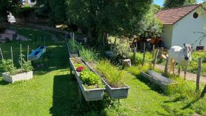 un jardín con algunas plantas y un caballo en la hierba en Apartamentos Irati en Espinal-Auzperri