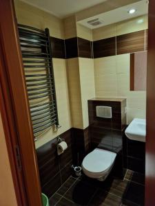 a small bathroom with a toilet and a sink at Stropnica in Karpacz