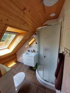 a bathroom with a shower and a toilet in a attic at Bieszczadzkie Marzenie in Wetlina