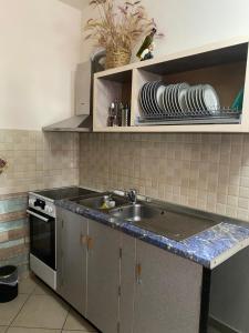 a kitchen with a sink and plates on a shelf at Panoramic apartment in Shkodër