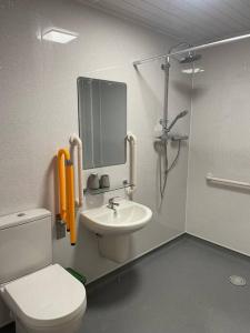 La salle de bains est pourvue de toilettes, d'un lavabo et d'une douche. dans l'établissement Poshington willows accessibility friendly, à Weymouth