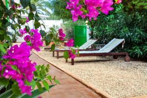 dos bancos sentados en un jardín con flores rosas en Can Picarola, en Santanyí