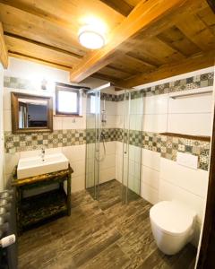 uma casa de banho com um WC e um lavatório em Castle View em Saschiz
