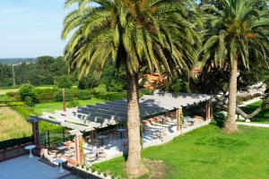 an overhead view of a building with palm trees at Hotel El Rosal de Cudillero in Cudillero