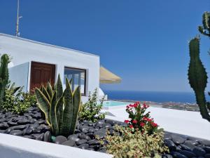 a garden with cacti and flowers in front of a house at Amerisa Suites & Villa in Fira