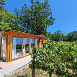 Gambar di galeri bagi Vineyard house di Grižane