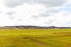 a field of green grass with a cloudy sky at Host & Stay - Tystie Cottage in Salthouse +15 photos