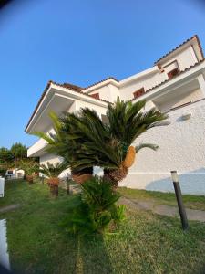 a palm tree in front of a house at Villa da Rosa in Olbia