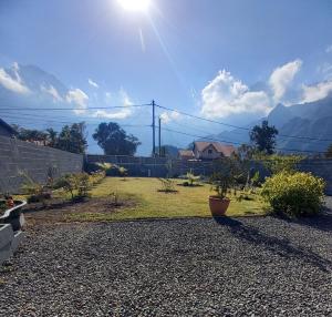 Blick auf einen Garten mit Pflanzen und der Sonne in der Unterkunft L'Etreinte des Cimes in Cilaos