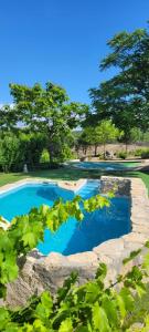 una piscina en un patio con árboles en el fondo en Casa Rural Naranja, en El Tiemblo