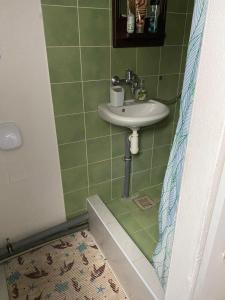 a bathroom with a sink and a shower curtain at Podkrovní apartmán in Olomouc