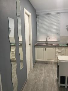 Η κουζίνα ή μικρή κουζίνα στο Villa Mutt