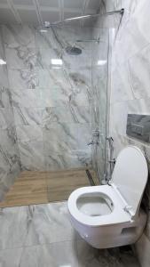 トラブゾンにあるHale Abla Apart Evleriのバスルーム(白いトイレ、シャワー付)