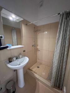 uma casa de banho com um lavatório e um chuveiro em Royal House em Kotor