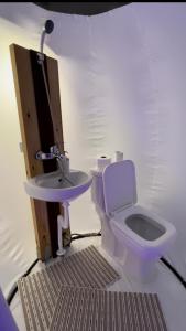 a bathroom with a toilet and a sink at La Perle Palase in Palasë