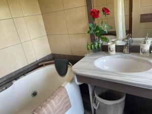 Monódhrion的住宿－Farma Sarli，浴室配有盥洗盆和浴缸。