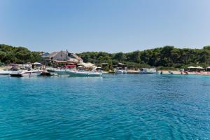 a group of boats docked in a body of water at Robinson house T'n'T in Hvar