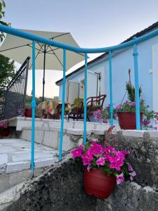 Gallery image of Back to Basics in Nikšić