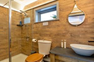 a bathroom with a toilet and a sink and a mirror at Finest Retreats - Driftwood in Poundstock