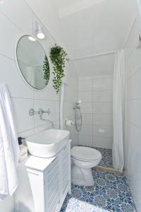 a bathroom with a toilet and a sink and a mirror at Robinson house T'n'T in Hvar
