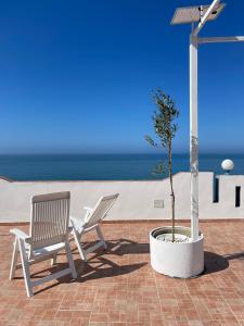 a couple of chairs and a tree in a pot at Hotel Miramare Garzia in Marinella di Selinunte