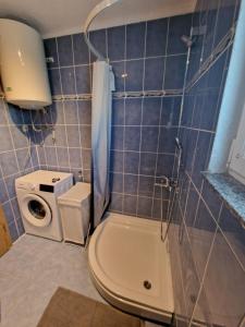 Koupelna v ubytování APARTMAN MAOR