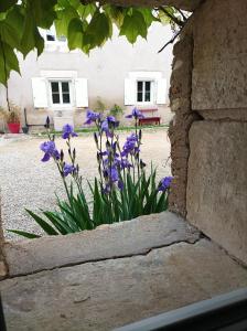 un montón de flores púrpuras en el alféizar de la ventana en Les Iris - Chambre Chêne, en Avanton