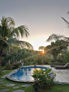 uma grande piscina num quintal com palmeiras em Adi's Bungalow em Uluwatu