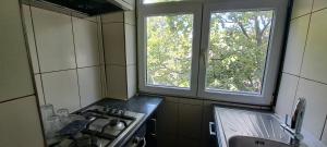 a kitchen with two windows and a stove and a sink at Garsoniera Centru Constanța in Constanţa