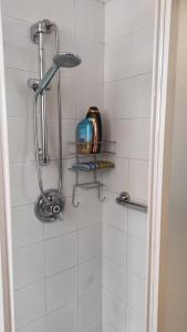 eine Dusche mit zwei Ablagen im Badezimmer in der Unterkunft WINTAGE in Marino + 32 Fotos