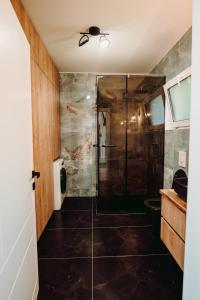 ein Bad mit einer Dusche und einer Glastür in der Unterkunft Famous Chalet Dragomirna in Dragomirna