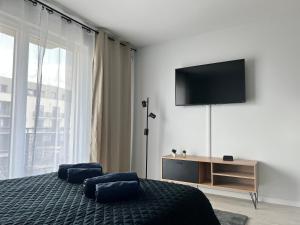 sypialnia z łóżkiem i telewizorem z płaskim ekranem w obiekcie Harmonia Apartments w Szczecinie