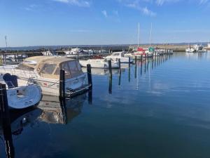 eine Gruppe von Booten, die an einem Dock im Wasser angedockt sind in der Unterkunft Lovely guest house close to the sea and forest! in Domsten