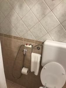 a bathroom with a toilet and a roll of toilet paper at No Vabbè! Penthouse… in Torre Santa Susanna