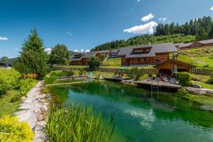 una baita di tronchi con un fiume di fronte di Chalet Dachsteinblick a Pruggern