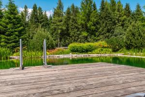a wooden dock in the middle of a lake at Chalet Dachsteinblick in Pruggern