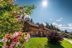 a log cabin with pink flowers in the yard at Chalet Dachsteinblick in Pruggern