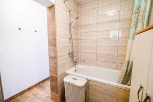 a bathroom with a bath tub and a shower at ECO Tourist Farm Kostanje in Sevnica +21 photos
