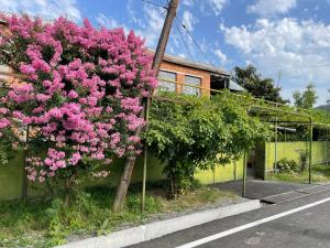 un cespuglio di fiori rosa sul lato di un edificio di Green Corner a Lagodekhi