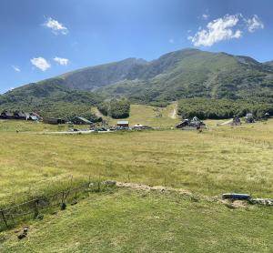 a field of grass with a mountain in the background at Apartman Maja in Žabljak