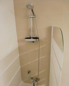 y baño con ducha con cabezal de ducha. en LEON DEL SUR, en San Miguel de Abona