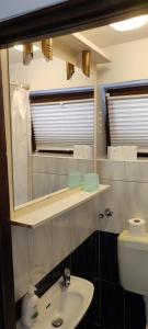 La salle de bains est pourvue d'un lavabo, d'un miroir et de toilettes. dans l'établissement Apartments Svjeta, à Jadranovo